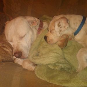 Meet your Posher, Shannon