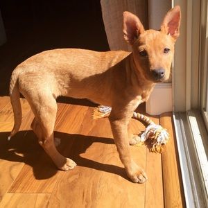 Meet your Posher, Tasha