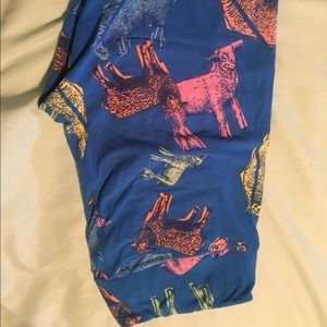 Lularoe Leggings