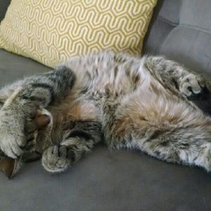 Meet your Posher, Shanna