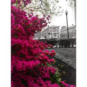 Meet your Posher, Omaymah