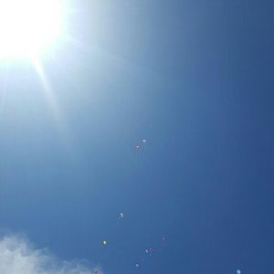 Meet your Posher, Satine