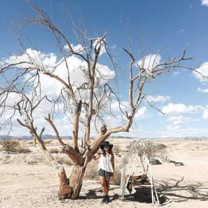 Meet your Posher, Nichelle