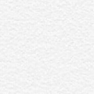 Meet your Posher, Xavier