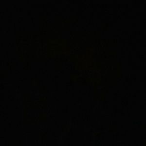 Meet your Posher, Arden