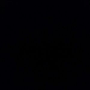 Meet your Posher, Cole