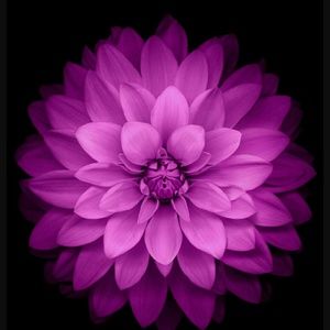 Meet your Posher, Christy