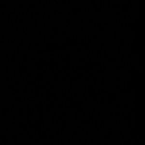 Meet your Posher, Bridney