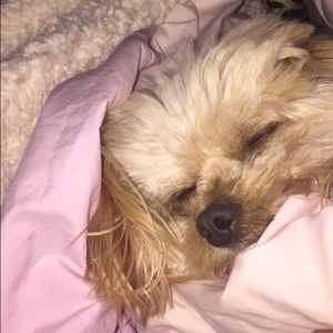 Meet your Posher, Chantel