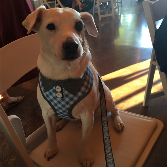 Meet your Posher, Vanessa - Picture 3 of 4