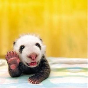 Meet your Posher, Lena