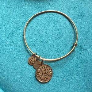 Alex & Ani bracelet
