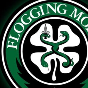 Meet your Posher, Dylan