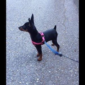 Meet your Posher, Donna