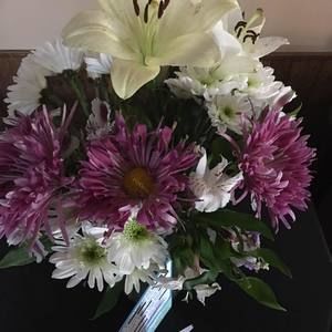 Meet your Posher, Sandy