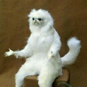 Meet your Posher, Lu