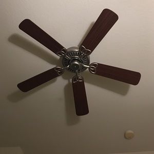 Meet your Posher, Camilla