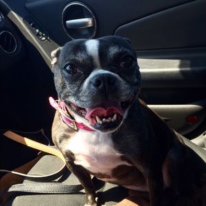 Meet your Posher, Ryann