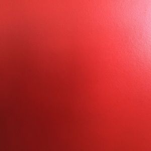 Meet your Posher, Ray