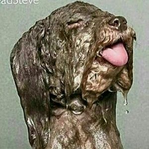 Meet your Posher, Kendall