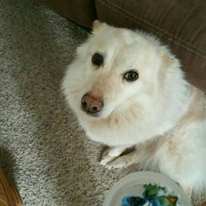 Meet your Posher, Yong