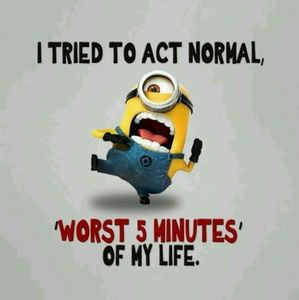 Meet your Posher, Bailey