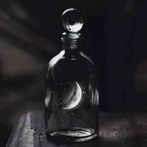 Meet your Posher, Kristy