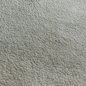 Meet your Posher, Carla