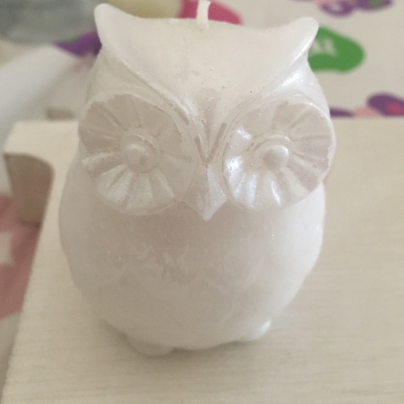 owl candles