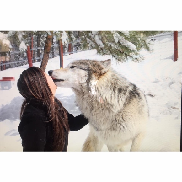 Meet your Posher, Sasha - Picture 1 of 1