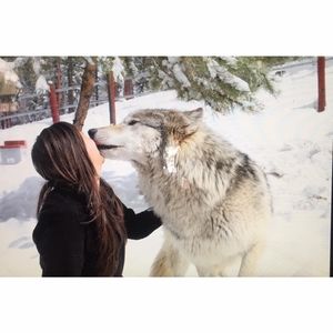 Meet your Posher, Sasha