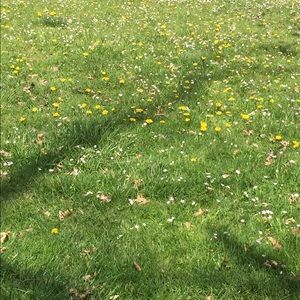 Meet your Posher, Adele