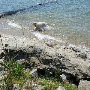 Meet your Posher, Mitchell