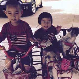 Meet your Posher, Bee