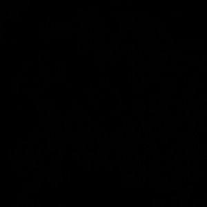 Meet your Posher, Mason