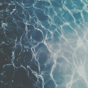 Meet your Posher, Elisa