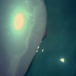 Meet your Posher, Rachael