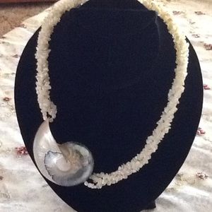 Beautiful authentic nautilus shell necklace