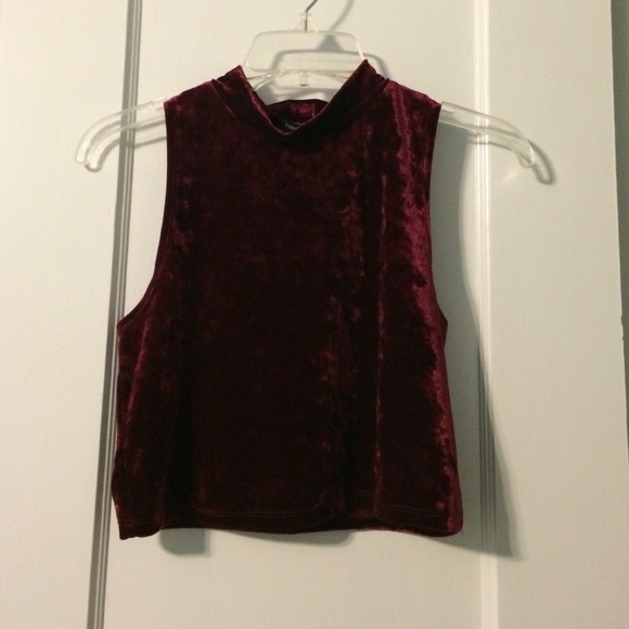‼️TRADED‼️ Maroon Crushed Velour Crop Top