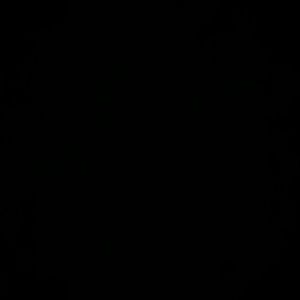 Meet your Posher, Bauer