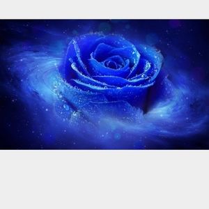 Meet your Posher, Tamika