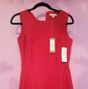 New Eva Mendes for NY & Co red above knee dress .
