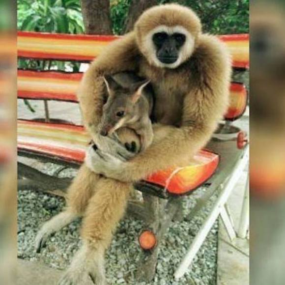 Meet your Posher, Yolanda