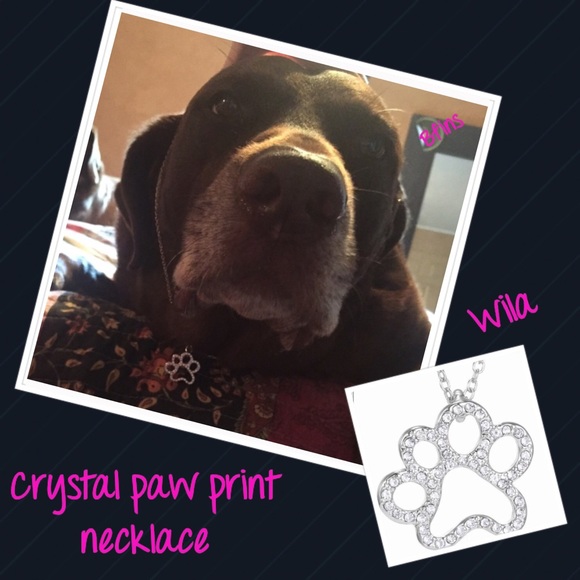 🎄SALE🎄CRYSTAL PAW PRINT PET NECKLACE