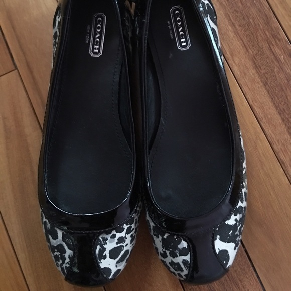 Size 5.5 coach shoes.