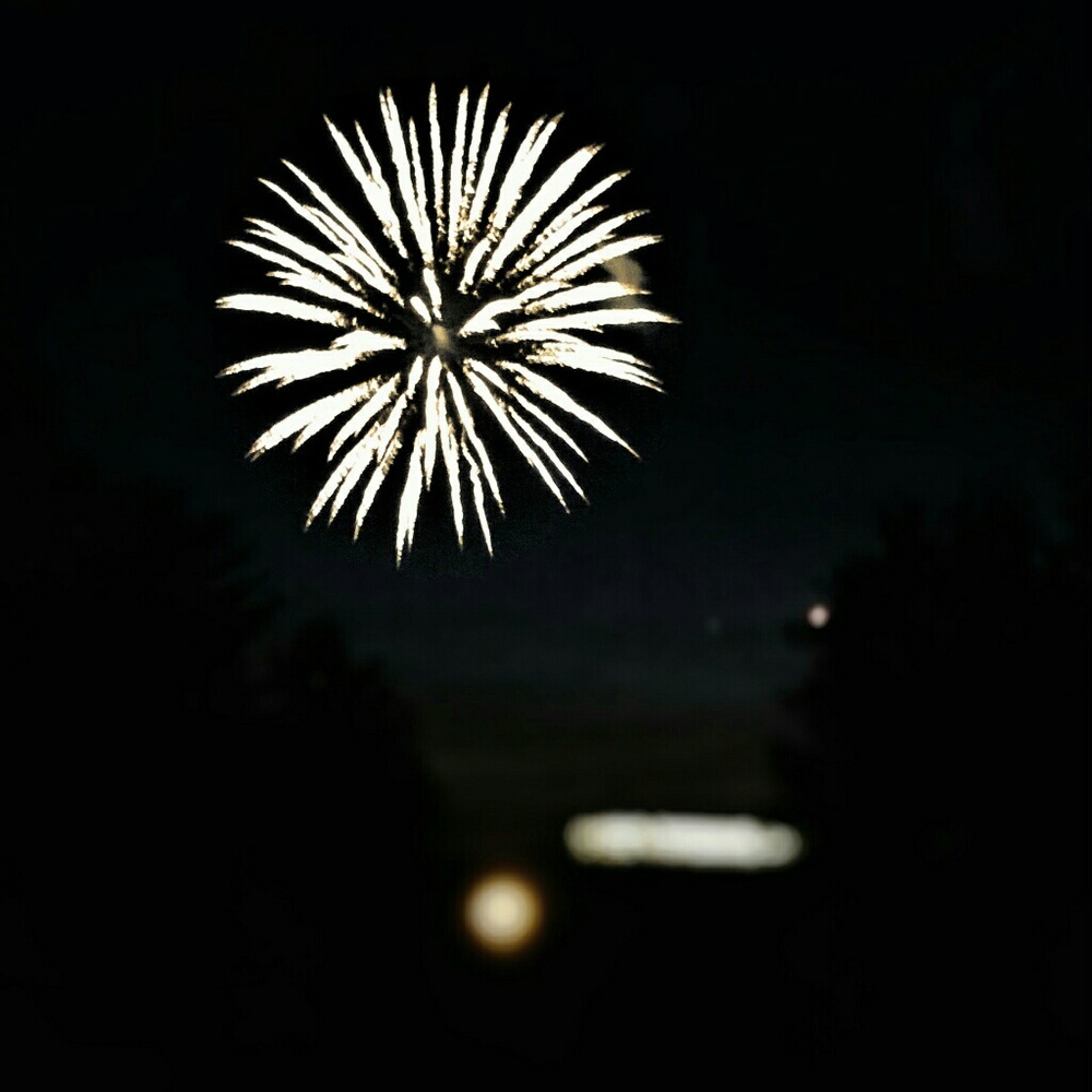 Meet your Posher, Delaney