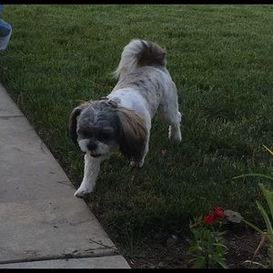 Meet your Posher, Manuel