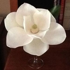 Meet your Posher, Dona