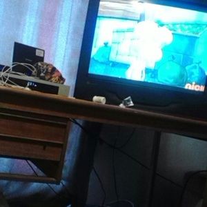 Meet your Posher, Julian