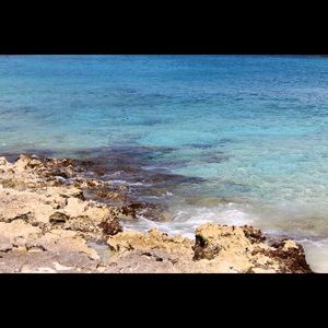 Meet your Posher, Hailey